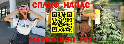 гидропоника Ставрополь