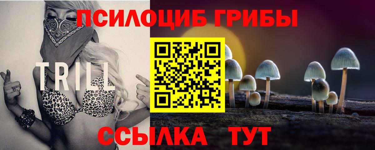 Галлюциногенные грибы мицелий Богородицк