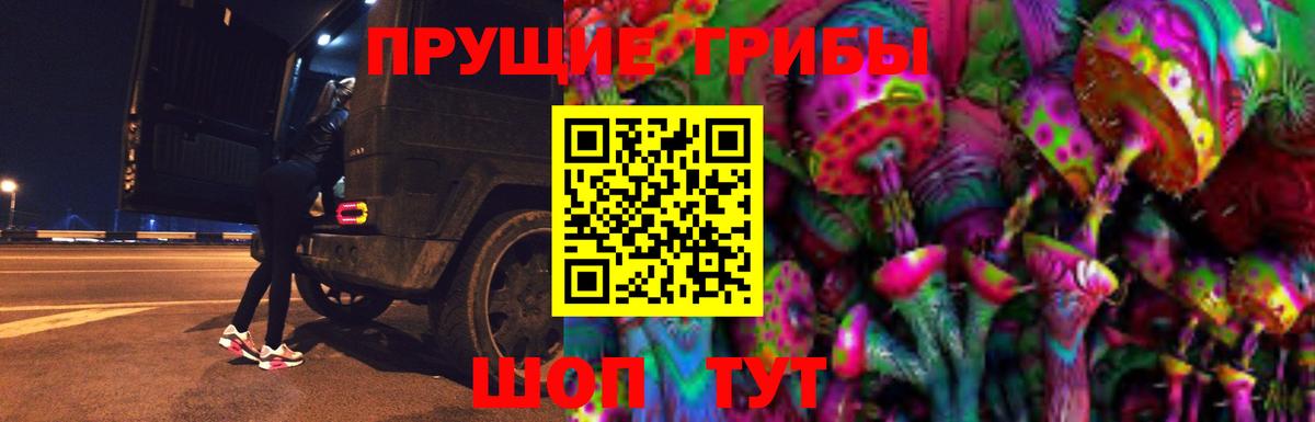 Галлюциногенные грибы прущие грибы  Псилоцибиновые грибы GOLDEN TEACHER  купить   Вход с VPN  Богородицк 